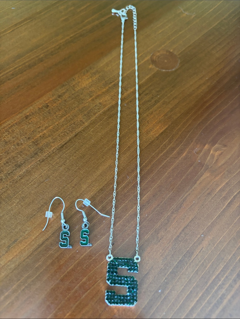 Michigan State University Necklace and Earrings